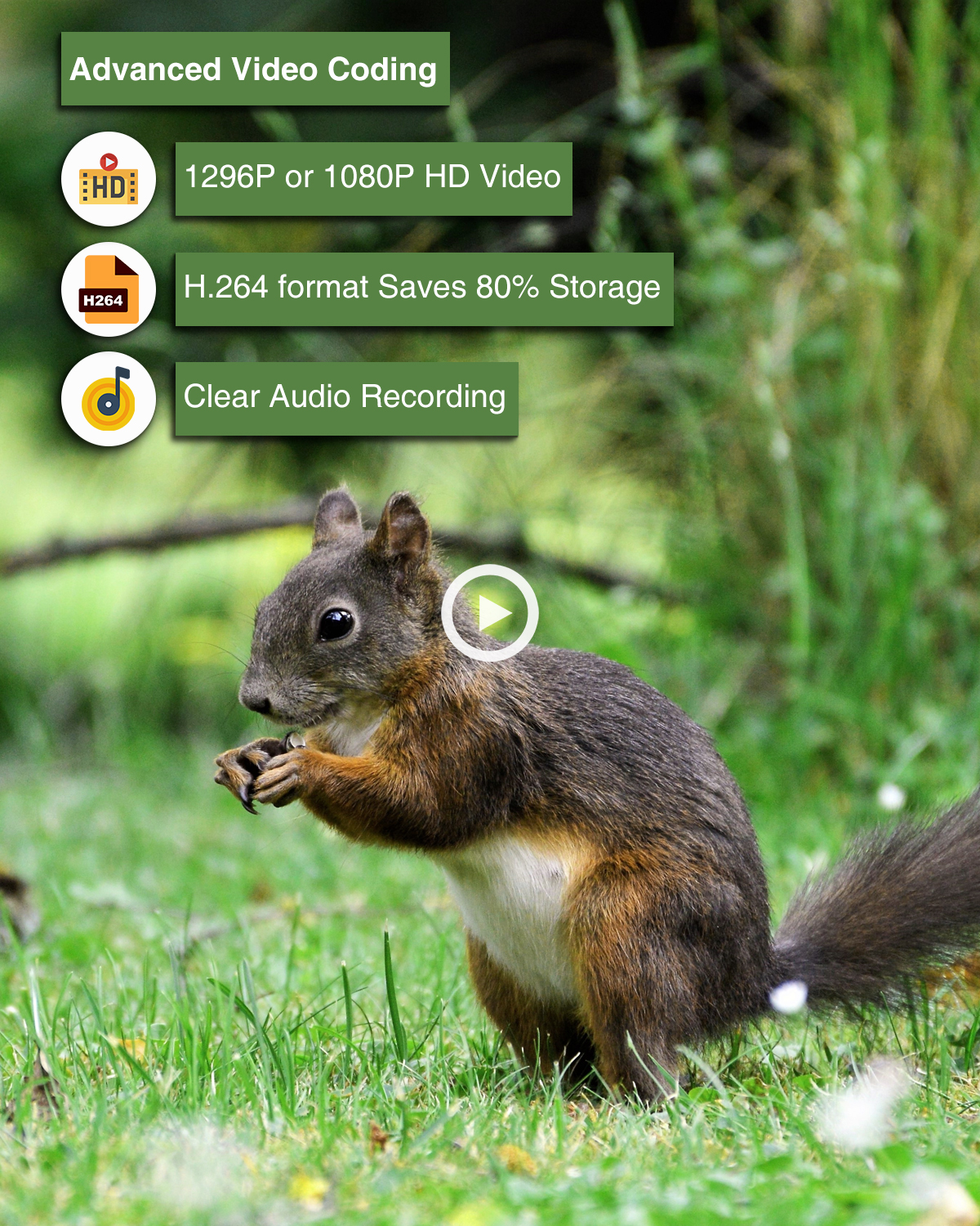 Test Meidase P200P : caméra de chasse WiFi efficace et autonome