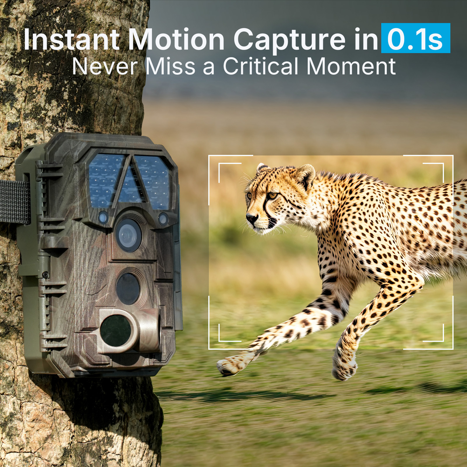 meidase trail camera trigger